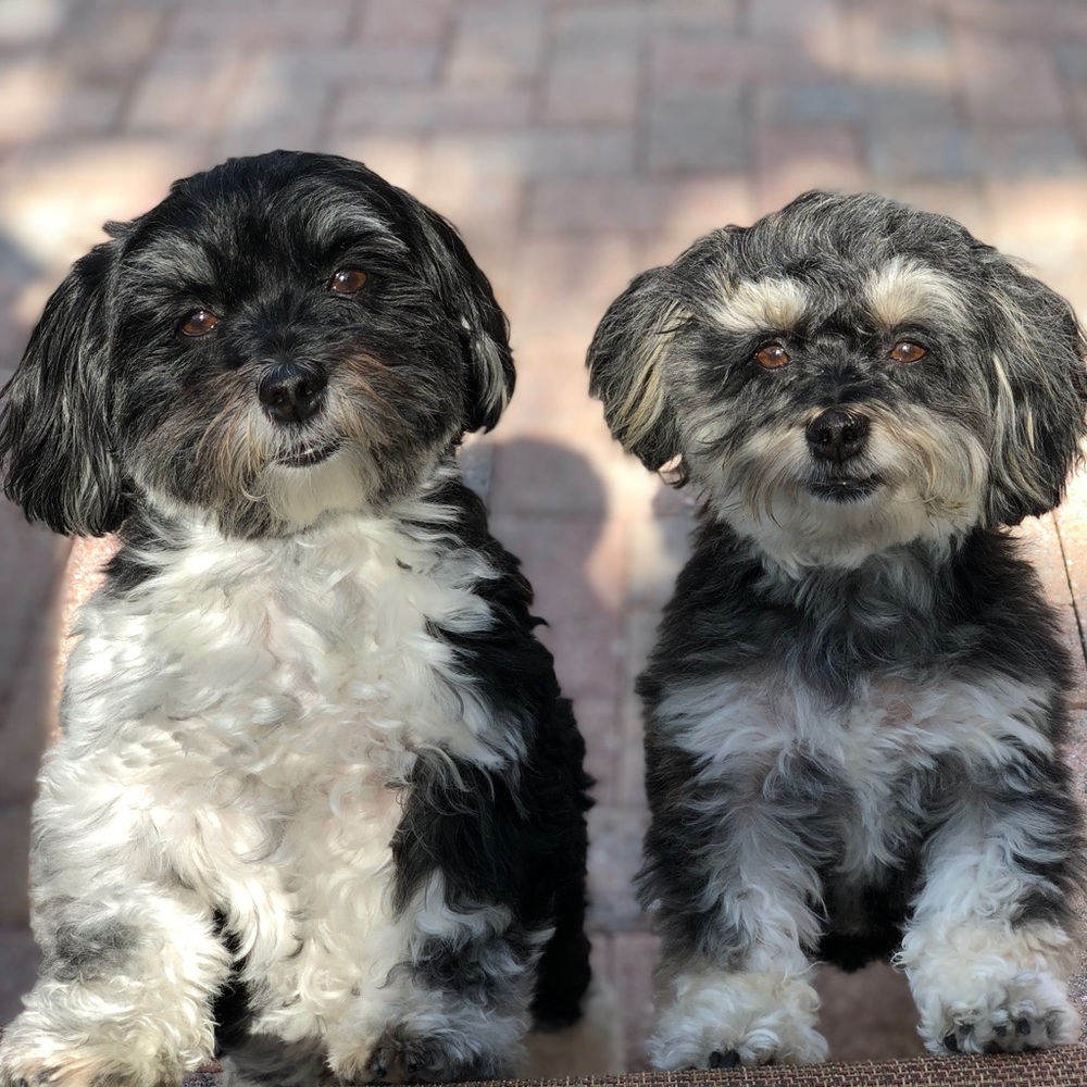 Meet your Posher, Marisa